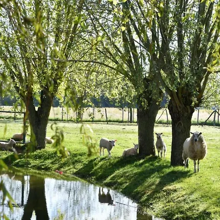 Διαμέρισμα Near And Marina