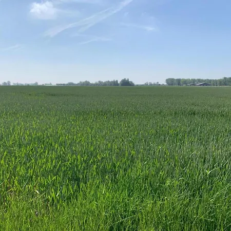 Near And Marina Διαμέρισμα *