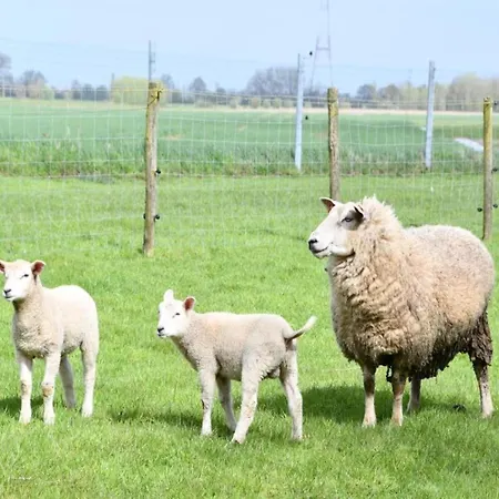 Διαμέρισμα Near And Marina *