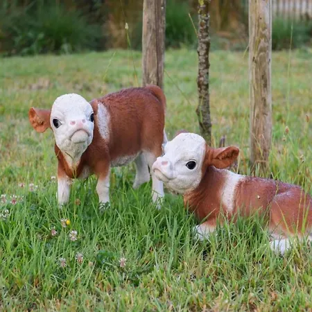 Near And Marina Διαμέρισμα Nieuwpoort