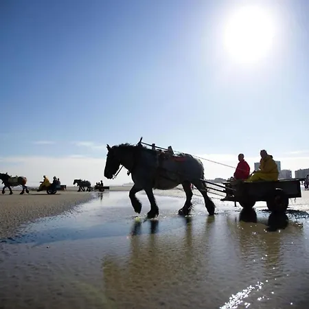 Near And Marina Διαμέρισμα Nieuwpoort