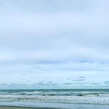 Near And Marina Апартаменты