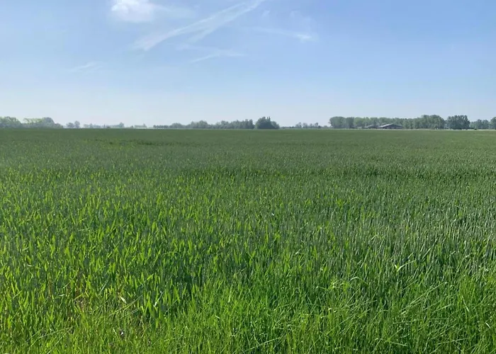 Near And Marina Lägenhet *