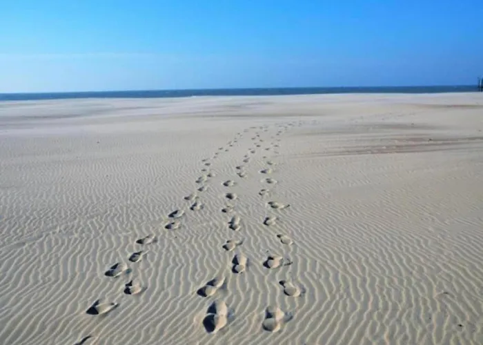 Lägenhet Near And Marina *